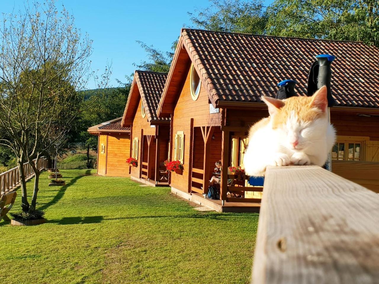 Cabanas Da Ria Lires 외부 사진